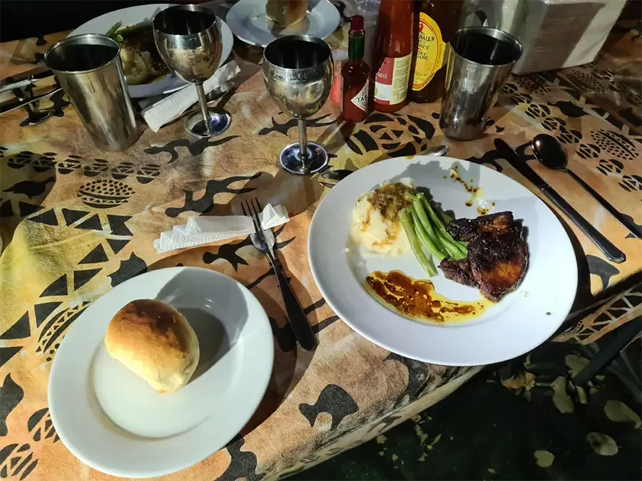 Camp Savuti03.webp