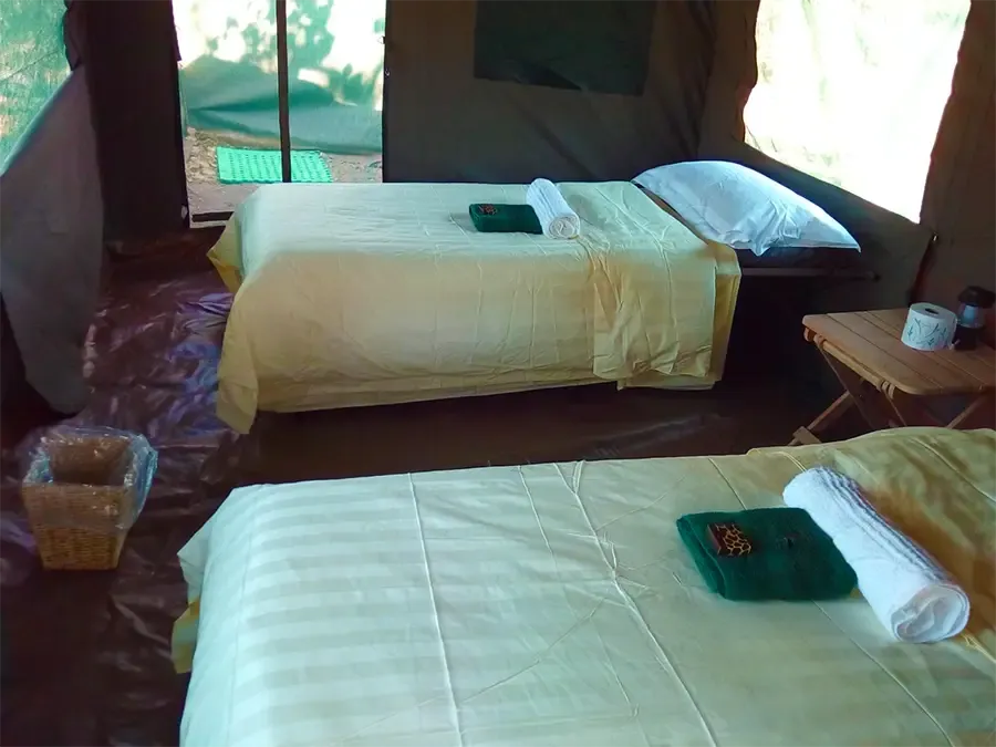 Camp Savuti02.webp